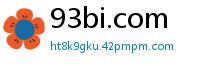 93bi.com